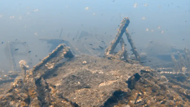 Unterwasserwelt rund um Hyères, Frankreich