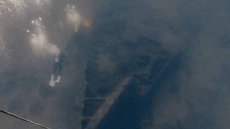 Unterwasserwelt rund um Hyères, Frankreich