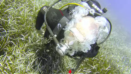 Tauchen in Südfrankreich - Hyères, Port Cros, Porquerolles